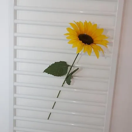 Tag Am Sylt Westerland