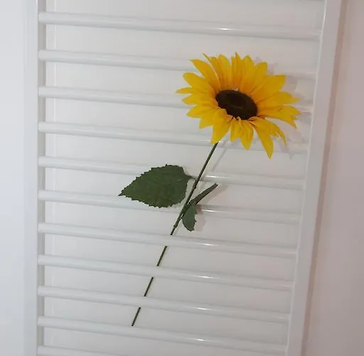 Tag Am Sylt Westerland